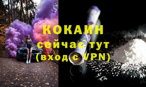 молекула духа Алексин