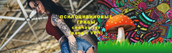 молекула духа Алексин