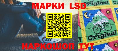 альфа пвп Новодвинск