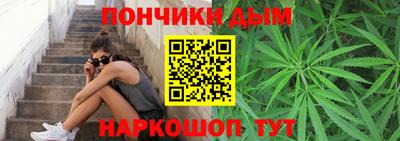 альфа пвп Новодвинск