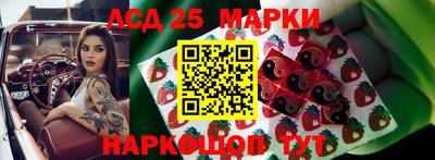 альфа пвп Новодвинск
