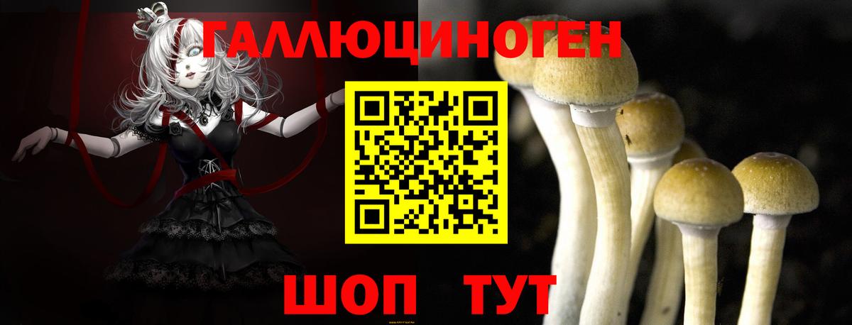 Галлюциногенные грибы MAGIC MUSHROOMS  Галлюциногенные грибы Psilocybine cubensis  Вход с VPN  Югорск 